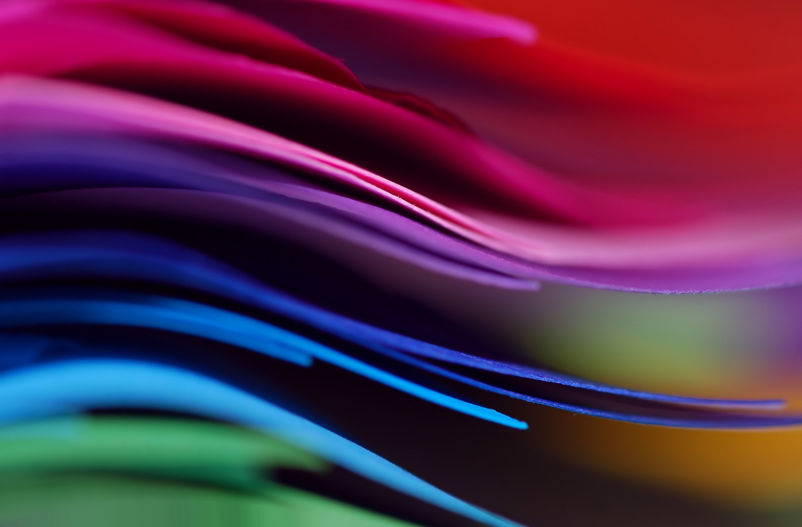 close-up-colorful-colors-39828